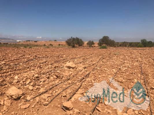 WhatsApp Image 2021-10-05 at 16.15.00